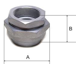UNIÃO FÊMEA FÊMEA - HUEFFEX